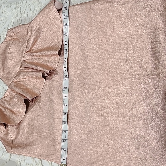 ZARA TRAFALUC COLLECTION GOLDROSE DRESS SIZE XS. - Picture 8 of 11